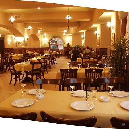 Oxford مامايا